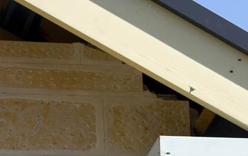 soffit repair Soyal